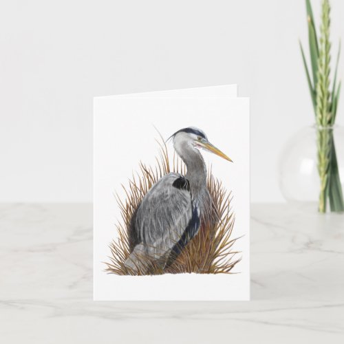 Great Blue Heron Blank Note Card