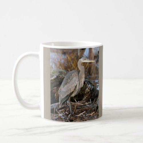 Great Blue Heron by a Pond Photo Coffee Mug