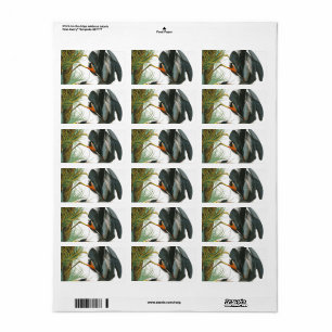 Great Blue Heron by John James Audubon Label