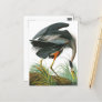 Great Blue Heron by John James Audubon Postcard