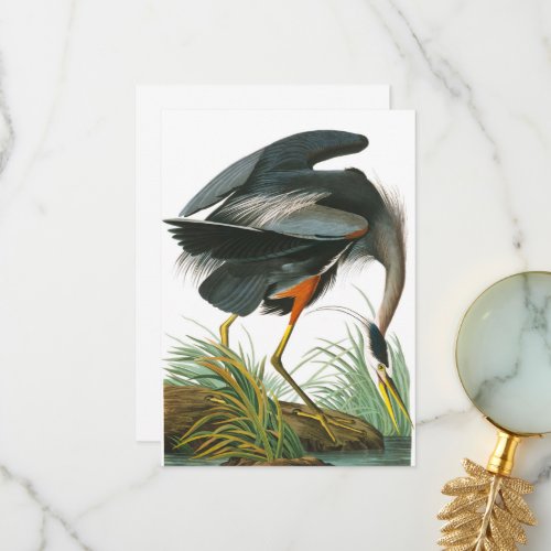 Great Blue Heron by John James Audubon Thank You Card