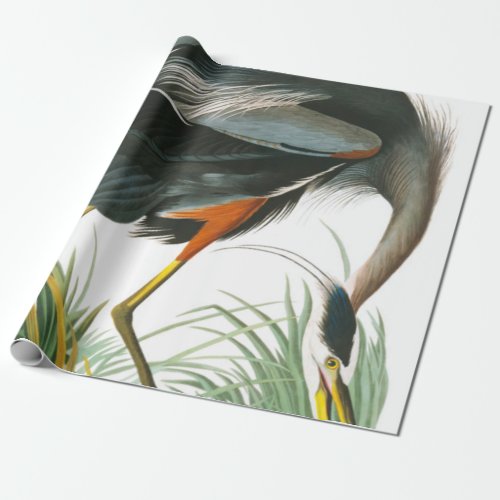 Great Blue Heron by John James Audubon Wrapping Paper