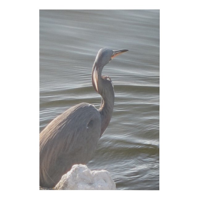 Great Blue Heron by the Water Faux Canvas Print (Front)