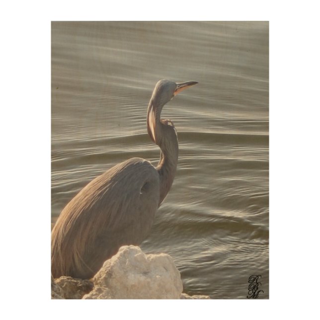 Great Blue Heron by the Water Wood Wall Art (Front)