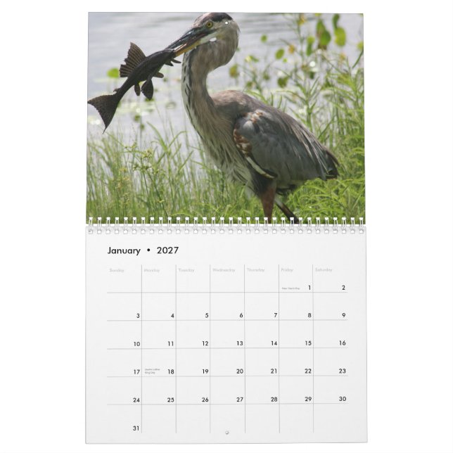GREAT BLUE HERON CALENDAR (Jan 2027)