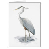Great Blue Heron Card (Front)