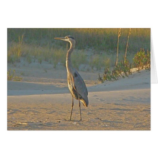 Great Blue Heron Card (Front Horizontal)