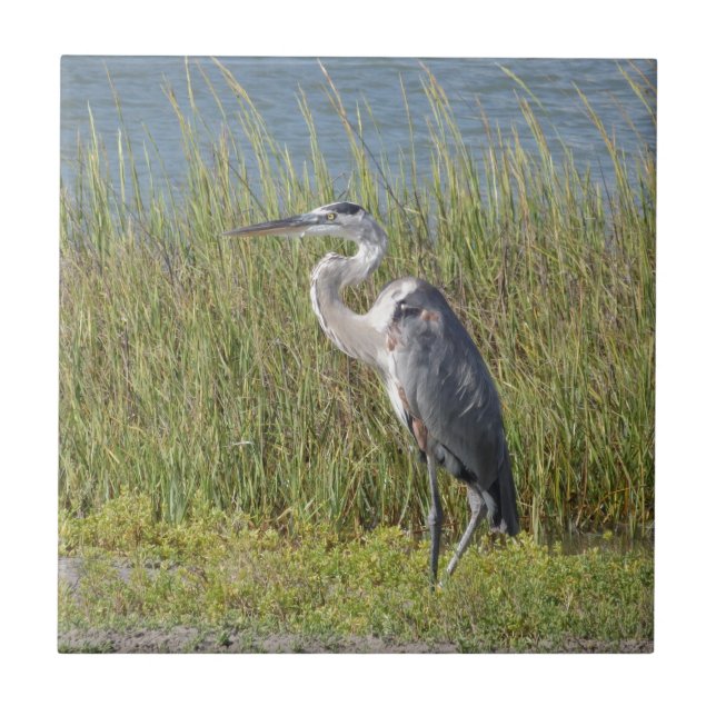Great Blue Heron Ceramic Tile (Front)