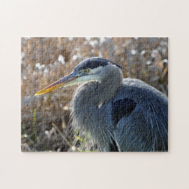 Great Blue Heron Close UP! Puzzle (Horizontal)