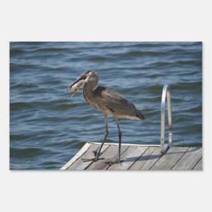 Great Blue Heron Close Up Sign