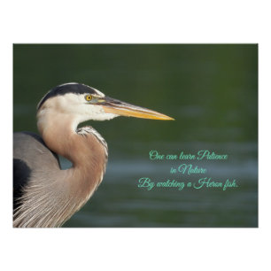 Great Blue Heron Close Up Tapestry Poster