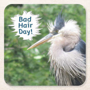 Great Blue Heron coaster