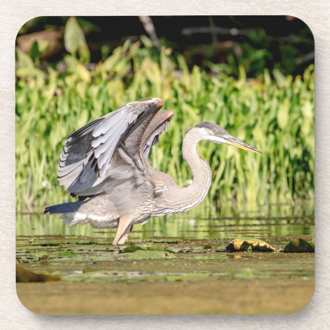 Great Blue Heron Coaster (Front)