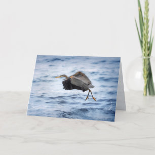 Great Blue Heron Dancing Over the Lake Blank Holiday Card