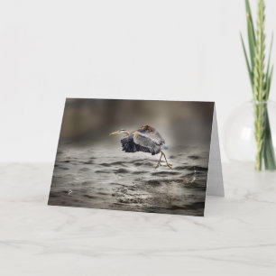 Great Blue Heron Dancing Over the Lake Blank Holiday Card