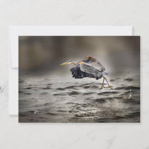 Great Blue Heron Dancing Over the Lake Blank Note Card