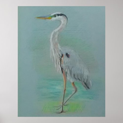 Great Blue Heron Drawing Poster