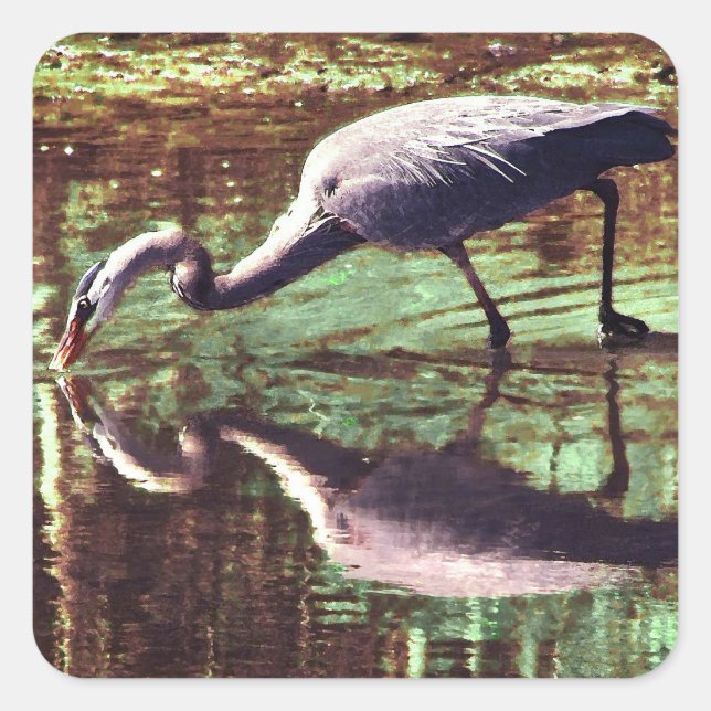Great Blue Heron Fishing Square Sticker (Front)