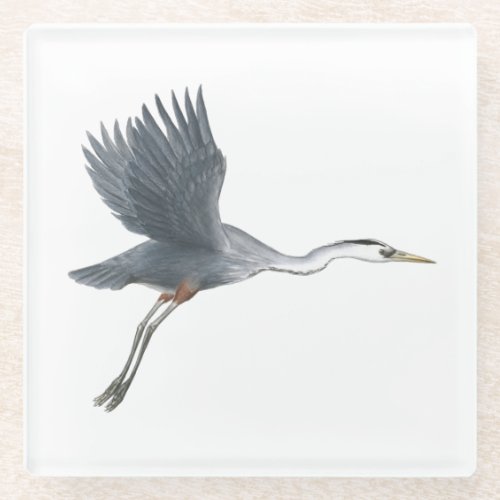 Great Blue Heron Flying Glass Coaster