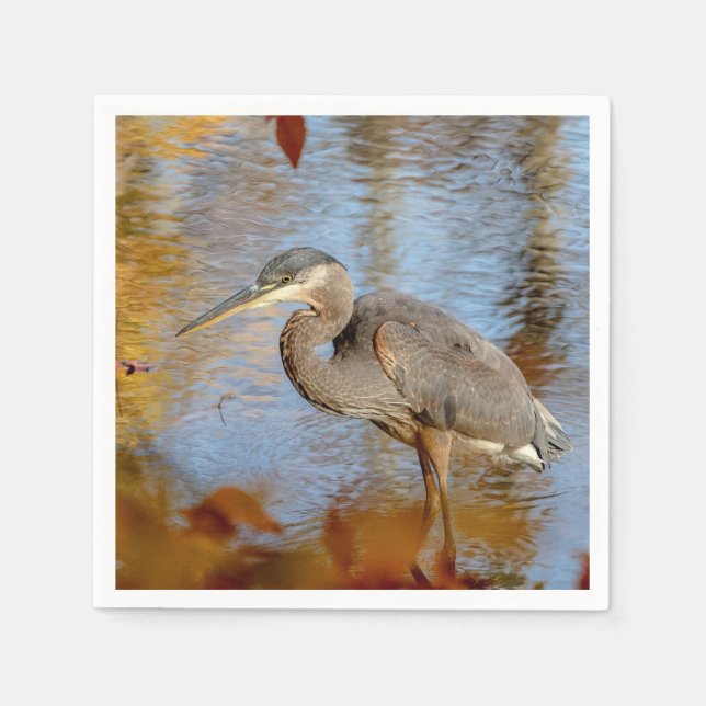 Great Blue Heron framed with fall foliage Napkins (Front)