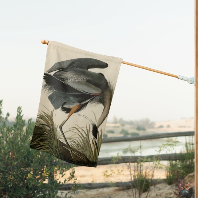 Great Blue Heron from Audubon's Birds of America House Flag (Insitu (Back))