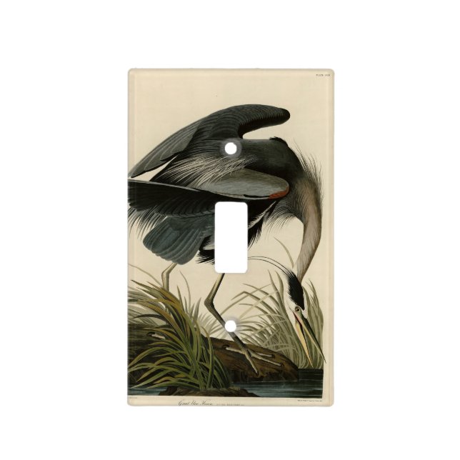 Great Blue Heron from Audubon's Birds of America Light Switch Cover (Front)