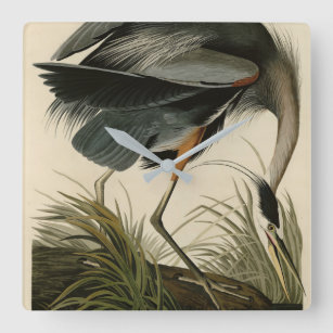 Great Blue Heron from Audubon's Birds of America Square Wall Clock