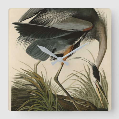 Great Blue Heron from Audubons Birds of America Square Wall Clock