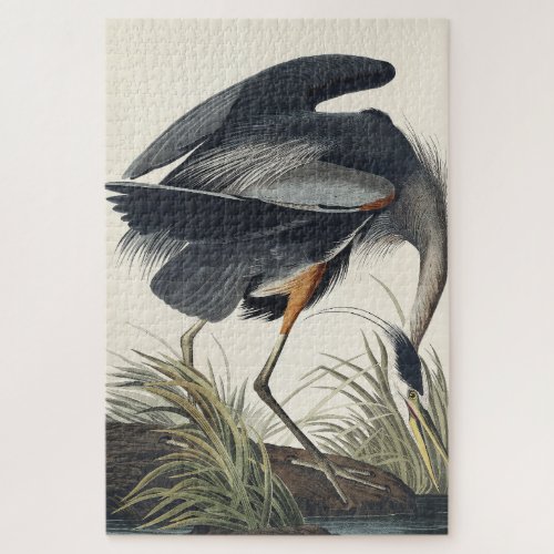 Great Blue Heron from Birds of America Jigsaw Puzzle