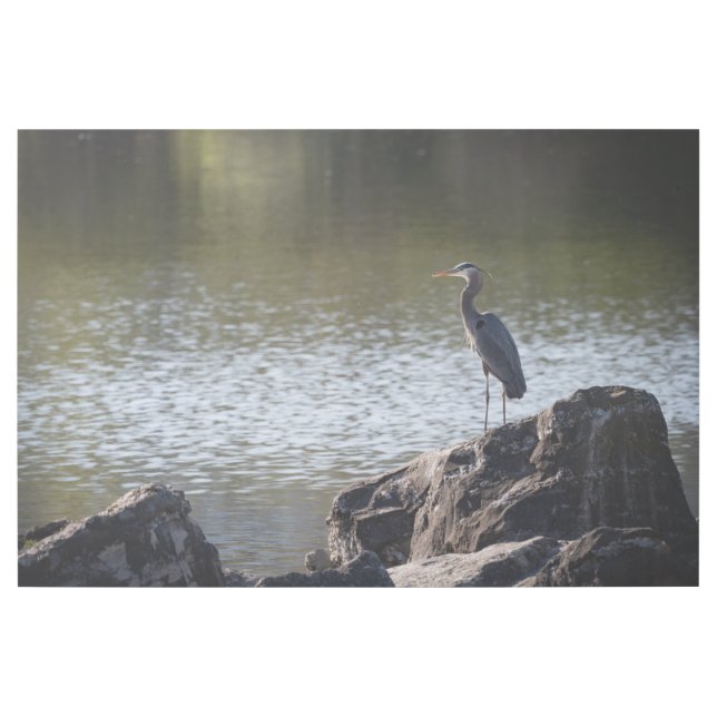 Great Blue Heron Gallery Wrap (Front)