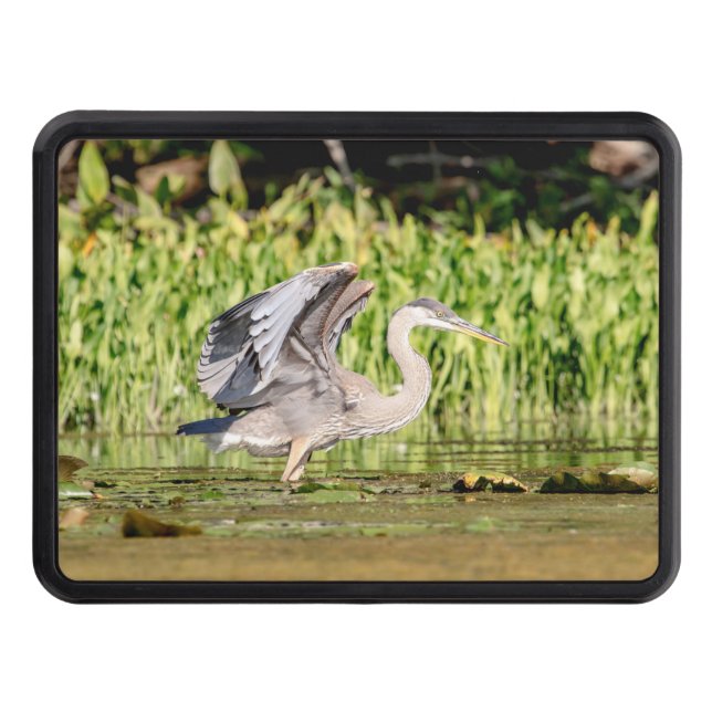 Great Blue Heron Hitch Cover (Front)