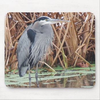 Great Blue Heron Hunting In Winter Mouse Pad by WackemArt at Zazzle
