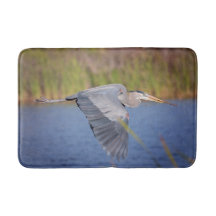 Great Blue Heron in flight