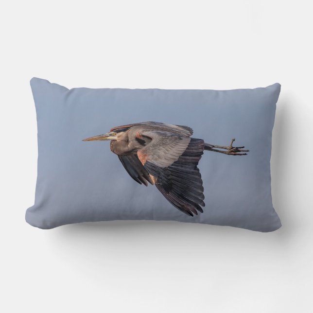 Great Blue Heron in flight Lumbar Pillow (Front)
