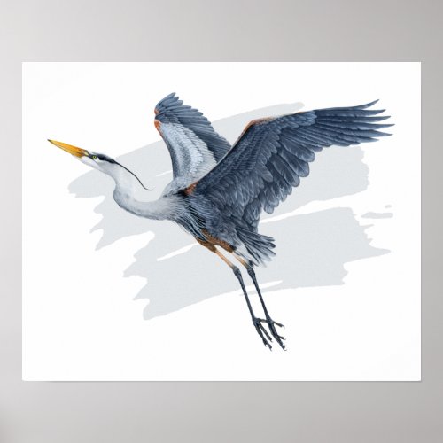 Great Blue Heron in Flight Poster
