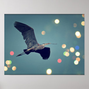 Great Blue Heron In Flight Poster