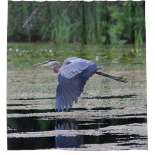 Great blue heron in flight shower curtain