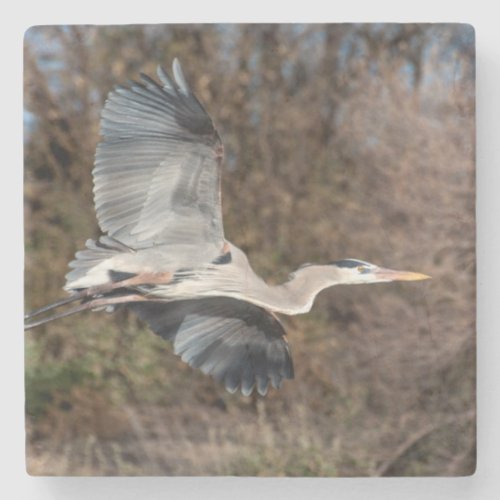 Great Blue Heron In flight Stone Coaster