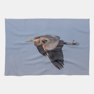 Great Blue Heron in flight Towel