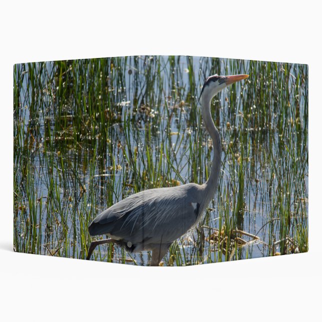 Great Blue Heron in Marsh 3 Ring Binder (Background)