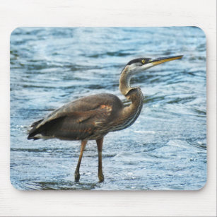 Great Blue Heron in the Blue Water Mouse Pad