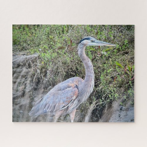 Great Blue Heron Jigsaw Puzzle