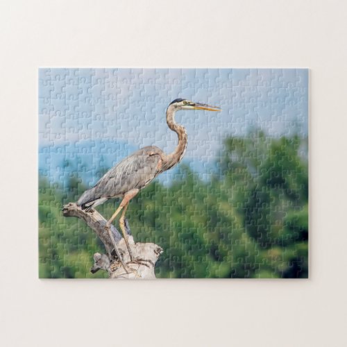 Great Blue Heron Jigsaw Puzzle