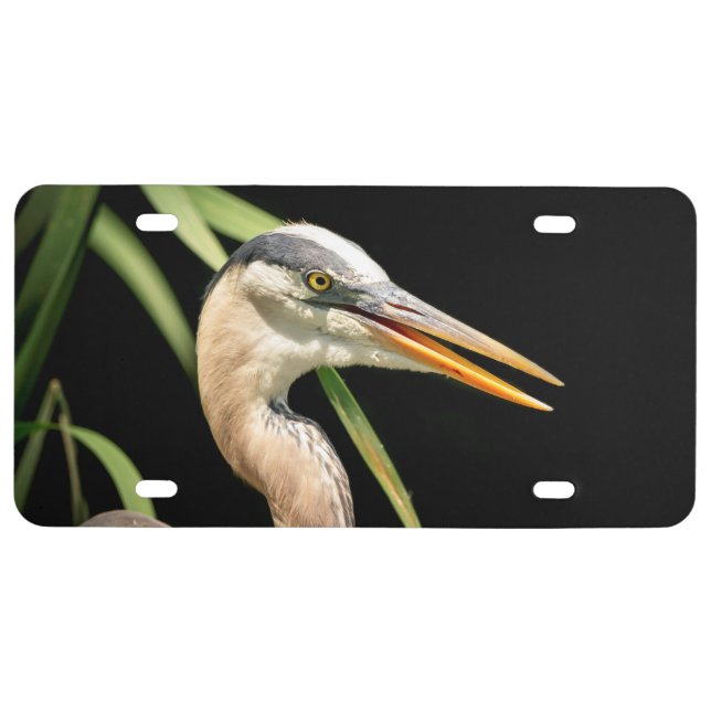 Great Blue Heron License Plate (Front)