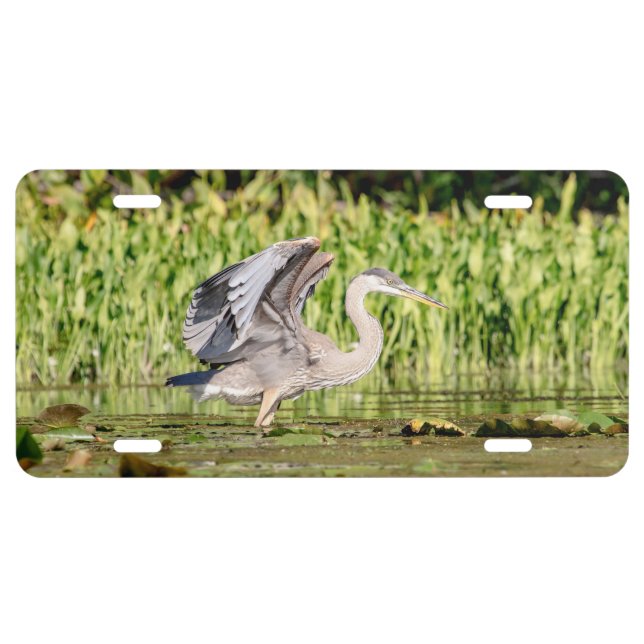 Great Blue Heron License Plate (Front)