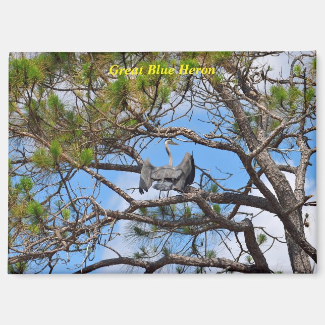 Great Blue Heron Magnet (Front)