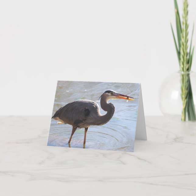 Great Blue Heron Notecard - Blank Inside (Front)
