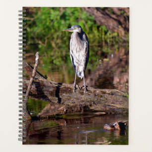 Great Blue Heron on Log Photo Planner