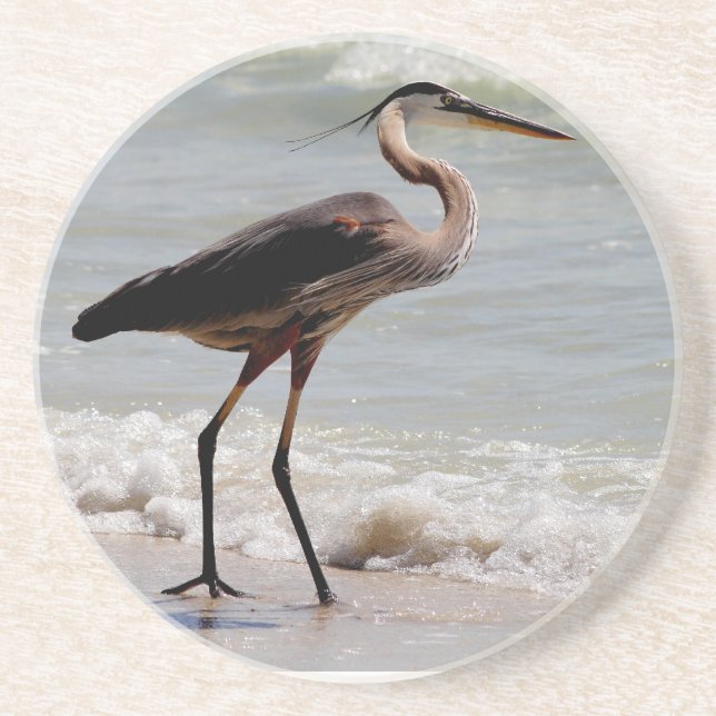 Great Blue Heron on the beach Sandstone Coaster (Front)