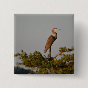 Great Blue Heron On Tree Top Button